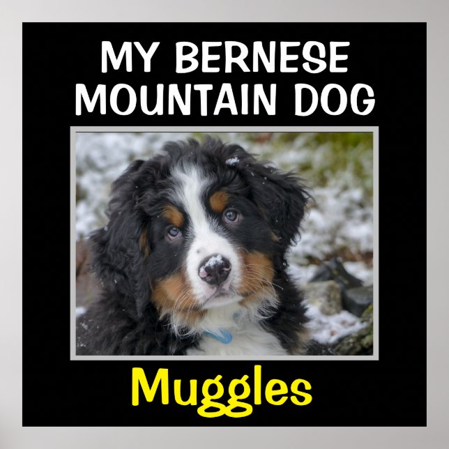 Custom Dog Wall Art Poster (Vorne)