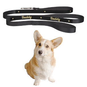 Custom Doppy Puppy Doggy Name Cool Black Gold Star Haustierleine