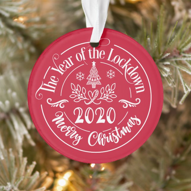 Custom Family Name Funny 2020 Weihnachtsfeiertag Ornament (Baum)