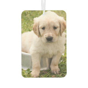 Custom Foto Air Freshener - I Liebe Haustiere Autolufterfrischer