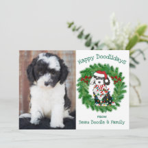 Custom Foto Christmas Lights Sheepadoodle Holiday