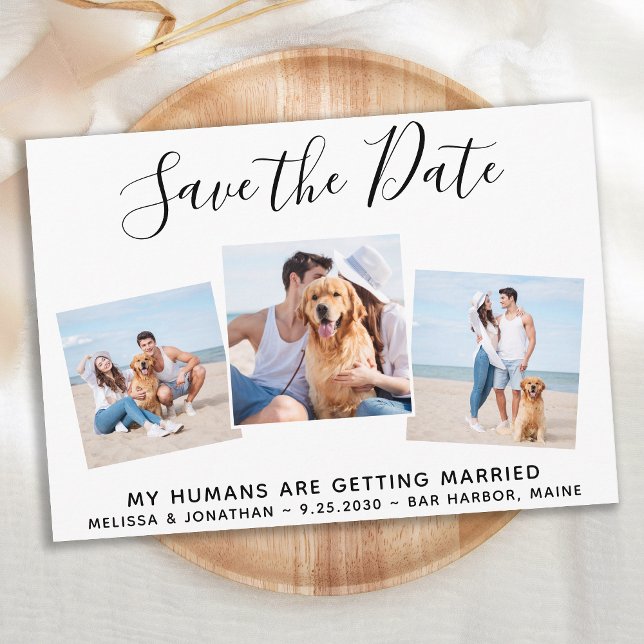 Custom Foto Collage Pet Hund Hochzeit Save The Date (Von Creator hochgeladen)