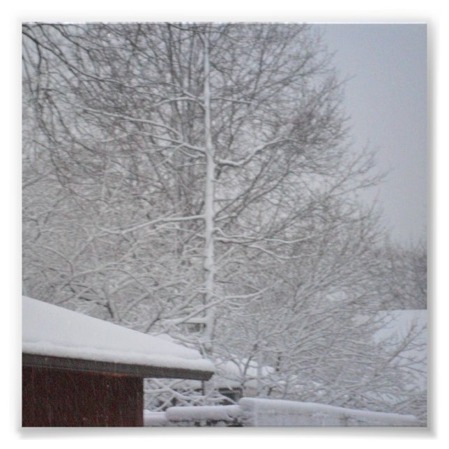 CUSTOM FOTO DRUCKT 6 X6 (Vorne)