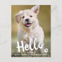 Custom Foto Hello New Pet Puppy Dog
