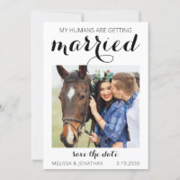 Custom Foto Horse Pet Reittiere Hochzeit