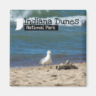 Custom Foto - Indiana Dunes National Park Magnet