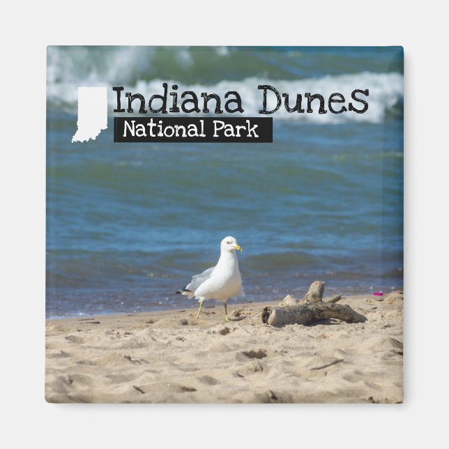 Custom Foto - Indiana Dunes National Park Magnet (Vorne)