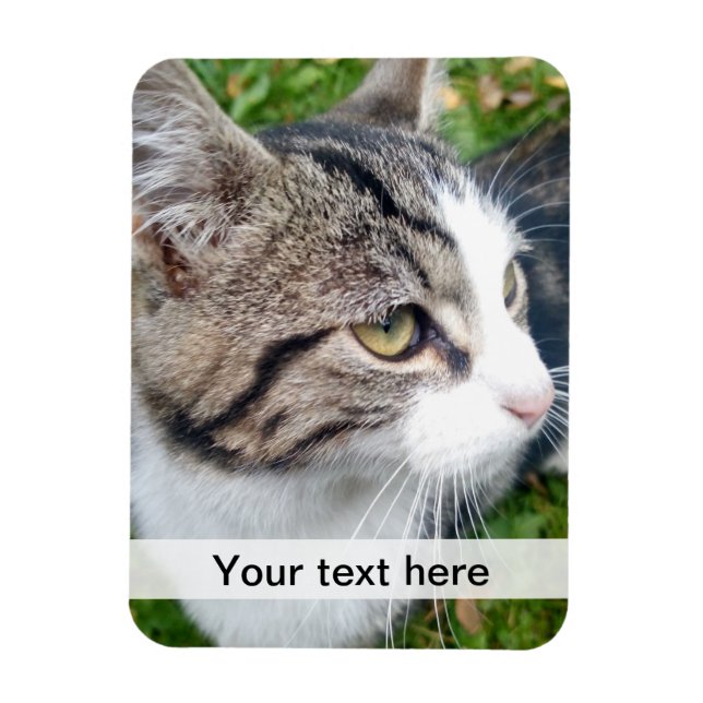 Custom Foto magnet Upload your image here (Vertikal)