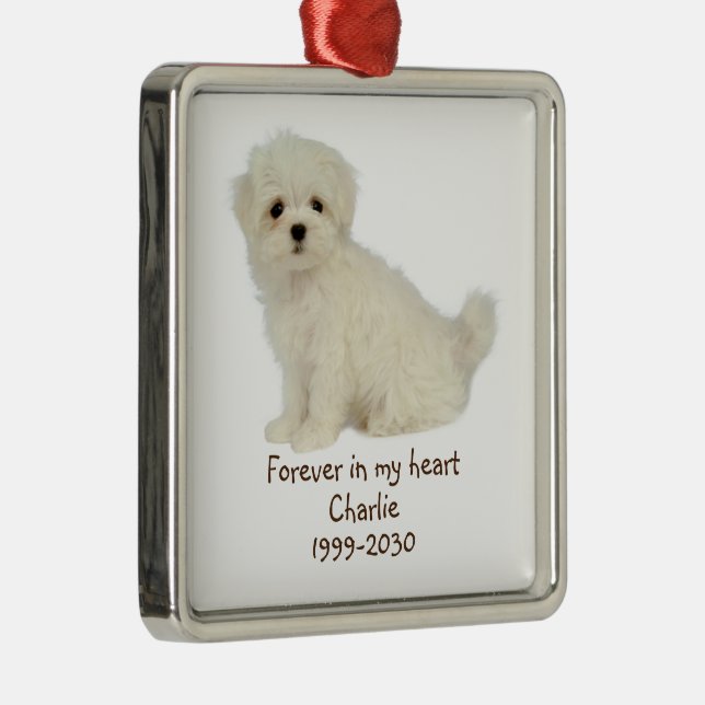 Custom Foto Memorial Keepake Pet Dog Metal Orn Ornament Aus Metall (Rechts)