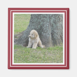 Custom Foto Template Crimson Red & White Magnet