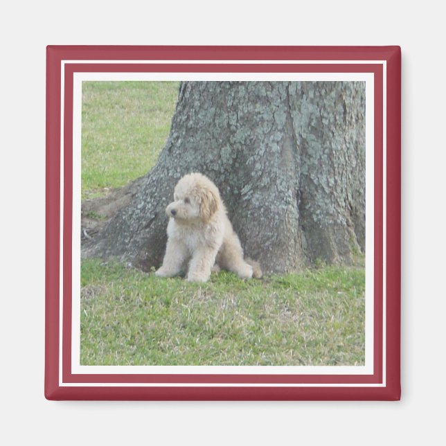 Custom Foto Template Crimson Red & White Magnet (Vorne)