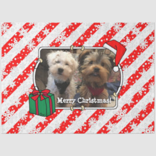 Custom Foto Weihnachts-Weihnachtsmannmütze Pet HO Seidenpapier