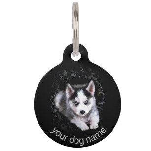 Custom Funny Husky bricht ein Loch um auszugehen Haustiermarke