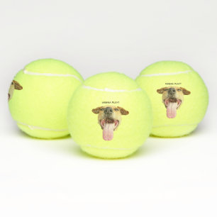 Custom Funny Wanna Play Dog Tennisbälle