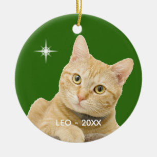 Custom Ginger Tabby Cat Foto auf Green Keramik Ornament