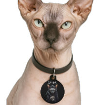 Custom Grim Sensenmann Sphynx Cat Funny