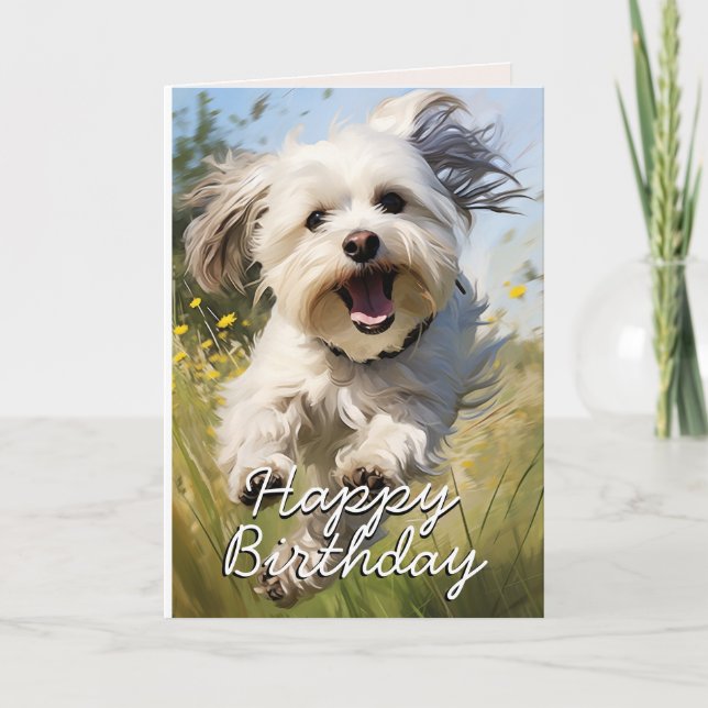 Custom Havanese Birthday Card Dankeskarte (Vorderseite)