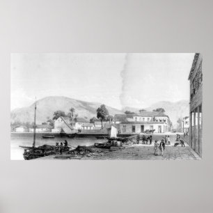 Custom House und St. Vincent's Wharf, Trinidad Poster
