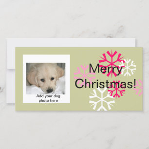Custom Hund Weihnachts Foto-Cards Pink Sage Feiertagskarte