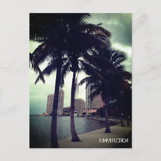 Custom Miami Florida Downtown and Harbour At Night Postkarte (Vorderseite)