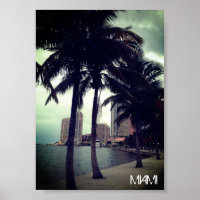 Custom Miami Florida Downtown and Harbour Travel