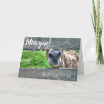 Custom Miss Sie wollen, ich könnte sehen, Sie leer