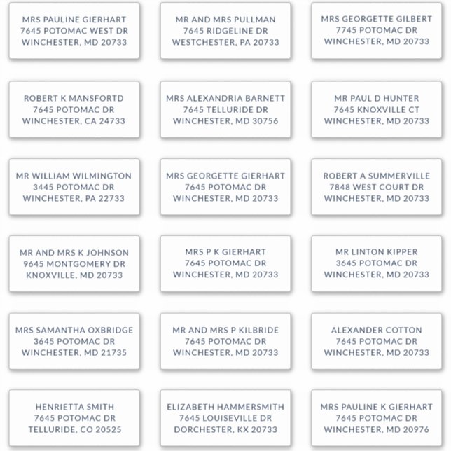 Custom Name 18 Shipping Large Address Labels (Vorderseite)