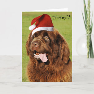 Custom Newfundland Christmas card 2 Feiertagskarte