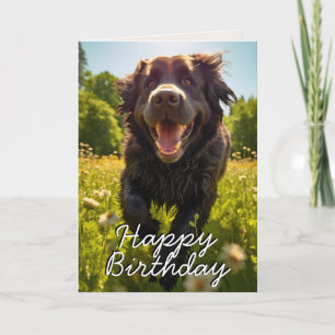 Custom Newfundland Happy Birthday Card Dankeskarte
