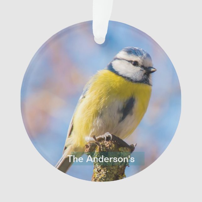 Custom Niedlich Blue Yellow Bird Foto Personalisie Ornament (Vorderseite)