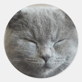 Custom Niedlich Gray kitty Cat Foto Runder Aufkleber