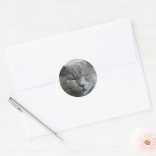 Custom Niedlich Gray kitty Cat Foto Runder Aufkleber
