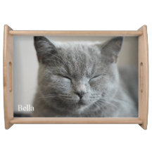 Custom Niedlich Gray Kitty Cat Foto