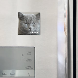 Custom Niedlich Grey Kitty Face Foto Magnet