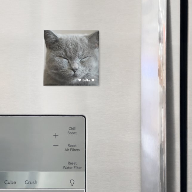 Custom Niedlich Grey Kitty Face Foto Magnet (In Situ (Kühlschrank))