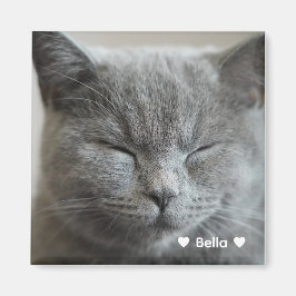 Custom Niedlich Grey Kitty Face Foto Magnet