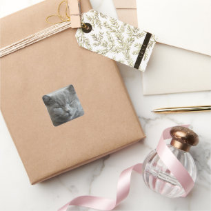 Custom Niedlich Grey Kitty Face Foto Quadratischer Aufkleber