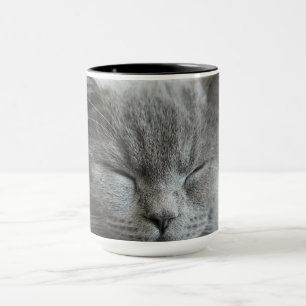 Custom Niedlich Grey Kitty Face Foto Tasse