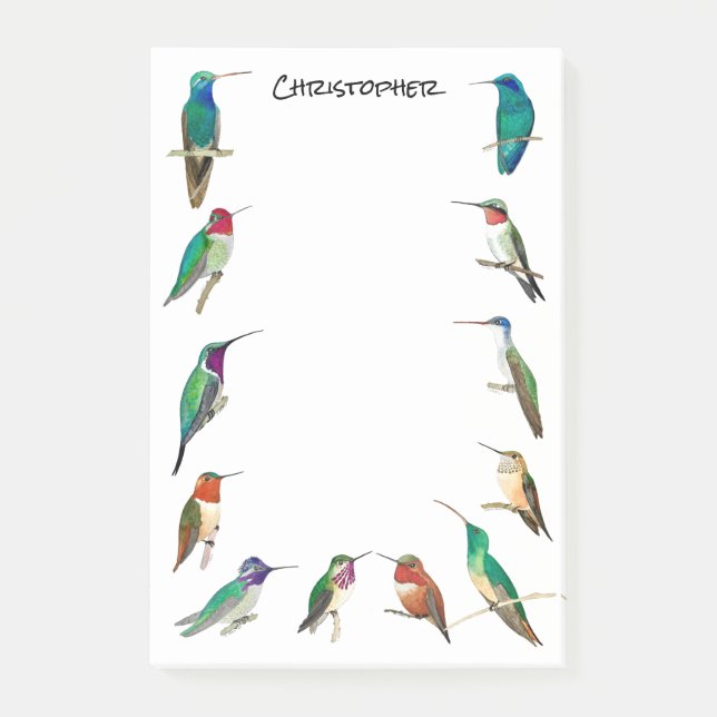 Custom North American Hummingbirds Post-it Notes Klebezettel (Vorderseite)