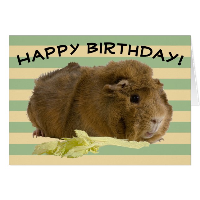 Custom Pastel Stripes Adorable Guinea Pig Foto (Vorderseite (Horizontal))