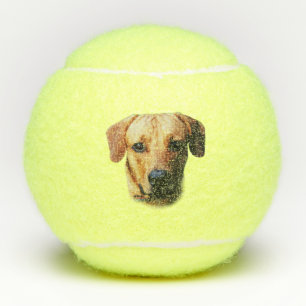 Custom Personalisiert Dog Tennis Balls Tennisbälle