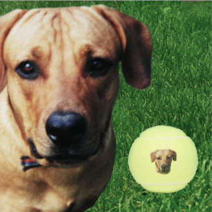 Custom Personalisiert Dog Tennis Balls Tennisbälle