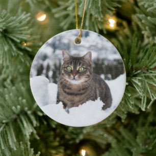 Custom Pet Cat 2 Foto Weihnachten Keramik Ornament