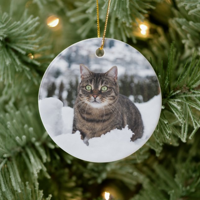 Custom Pet Cat 2 Foto Weihnachten Keramik Ornament (Baum)
