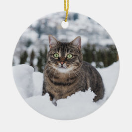 Custom Pet Cat 2 Foto Weihnachten Keramik Ornament