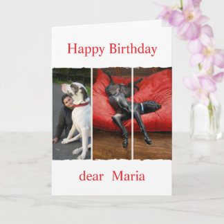 Custom pet (dog) photo and message karte