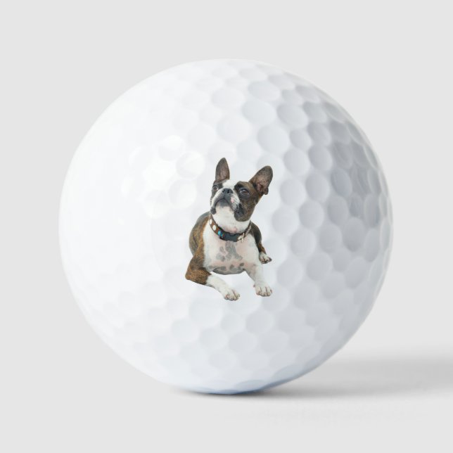Custom Pet Dog Photo Modern Personalized Golf Ball (Vorderseite)