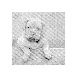Custom Pet Dog Photo Rubber Personalized Stamp Gummistempel