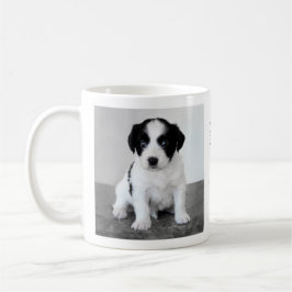 Custom Pet Foto 2024 Kalender Kaffee Tasse