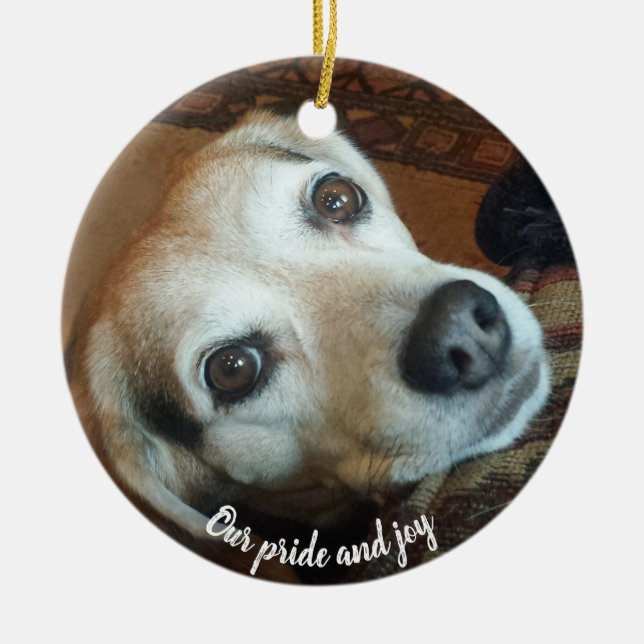 Custom Pet Foto 2 Seite Stolz und Freude Keramik Ornament (Vorne)